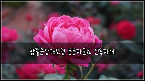 ์ฐธ์ข์์ํด๋ณดํ ๋ ๋ ํ๊ตฐ์ ์ ์ํ๊ฒ