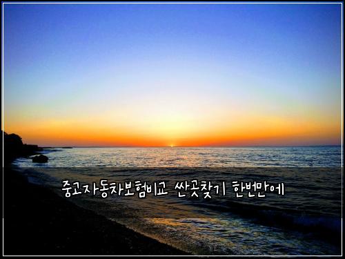 중고자동차보험비교 싼곳찾기 한번만에