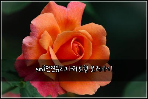 sm7전면유리자차보험 보러가기 