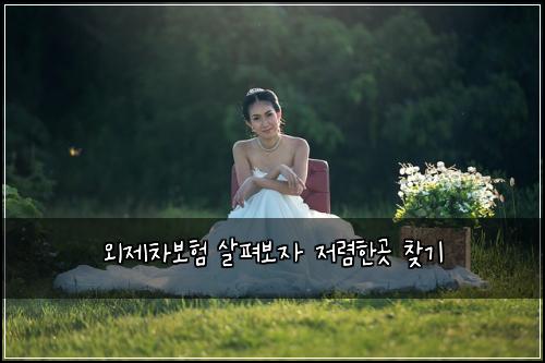 ์ธ์ ์ฐจ๋ณดํ ์ดํด๋ณด์ ์ ๋ ดํ๊ณณ ์ฐพ๊ธฐ