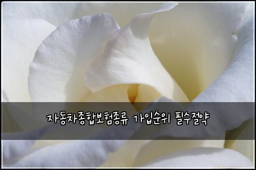 자동차종합보험종류 가입순위 필수절약
