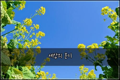 세상의 온기