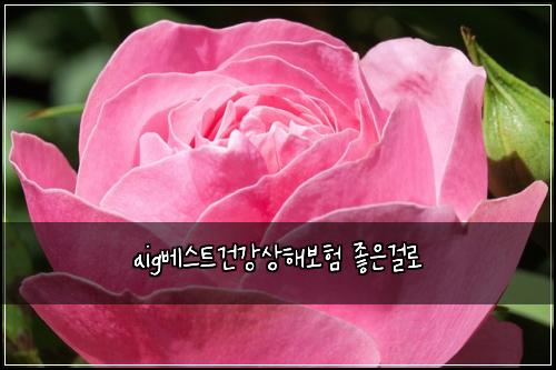 aig베스트건강상해보험 좋은걸로 