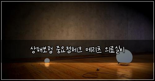 상해보험 중요점체크  메리츠 의료실비