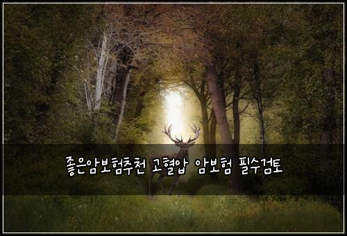 ์ข์์๋ณดํ์ถ์ฒ ๊ณ ํ์ ์๋ณดํ ํ์๊ฒํ