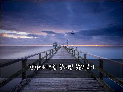 한화태아보험 설계법  실손의료비