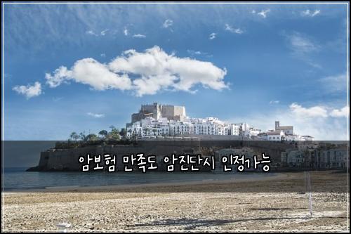 암보험 만족도  암진단시 인정가능