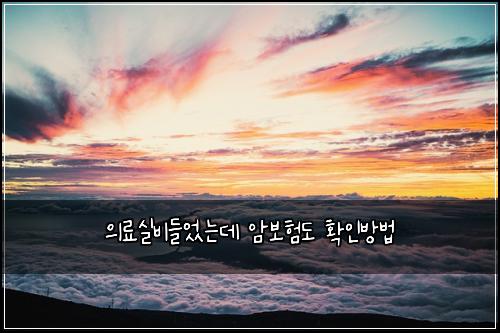의료실비들었는데 암보험도 확인방법