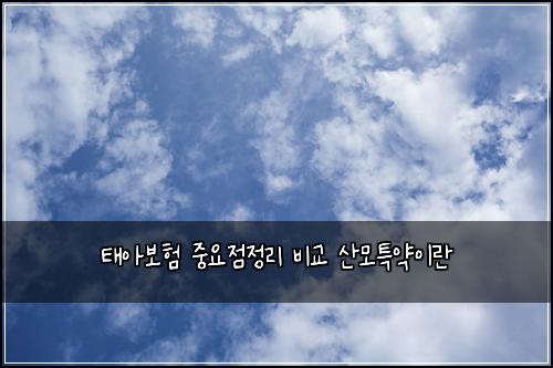 ํ์๋ณดํ ์ค์์ ์ ๋ฆฌ ๋น๊ต ์ฐ๋ชจํน์ฝ์ด๋