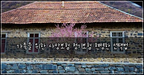 가족을 위한 사망보험 정기보험 현명한 선택법