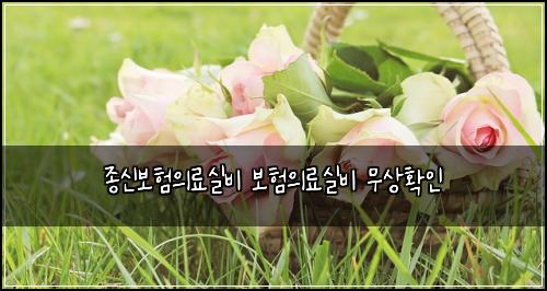 종신보험의료실비 보험의료실비 무상확인