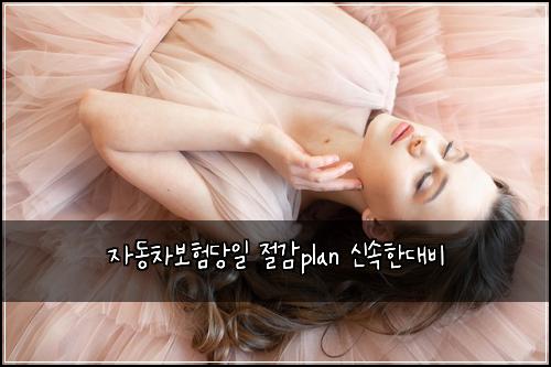 자동차보험당일 절감plan 신속한대비
