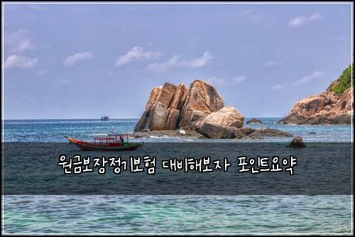 원금보장정기보험 대비해보자  포인트요약
