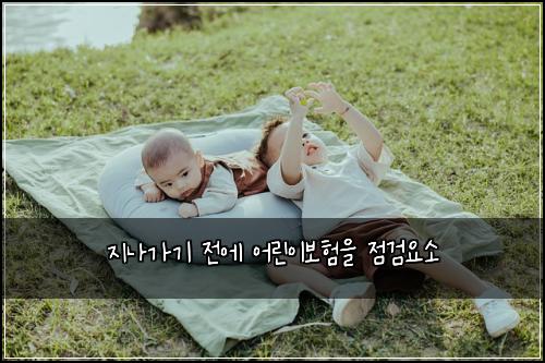 지나가기 전에 어린이보험을 점검요소