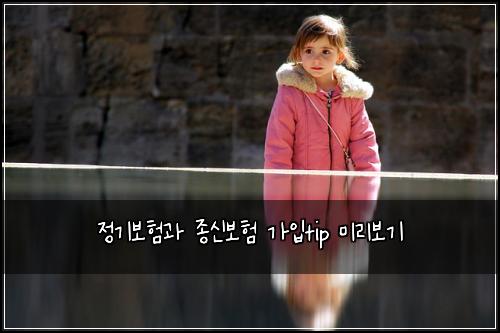 정기보험과 종신보험 가입tip 미리보기