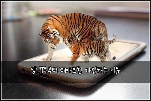 임신7주부터 태아보험 가입하는 이유
