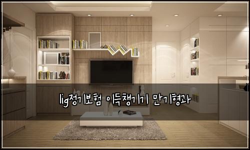 lig정기보험 이득챙기기  만기형과