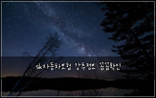 sk자동차보험 강추정보  꼼꼼확인