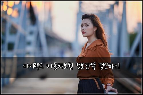 다이렉트 자동차보험 정보잔뜩  갱신하기