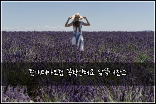 ํ๋ํ์๋ณดํ ๊ผญํ์ธํด์ ์๋ฐ๋์ฐฌ์ค