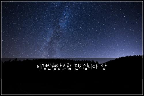 비갱신형암보험 진리입니다  암