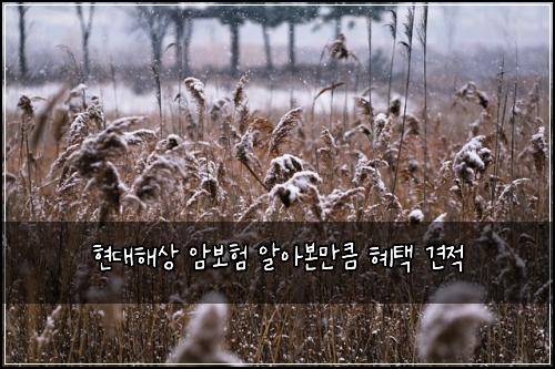현대해상 암보험 알아본만큼  혜택 견적