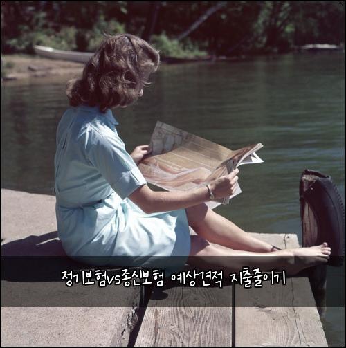 정기보험vs종신보험 예상견적 지출줄이기