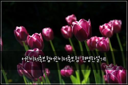 어린이저축보험어린이저축보험 현명한설계