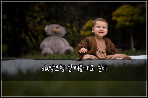 aia암보험 살펴볼게요  실비