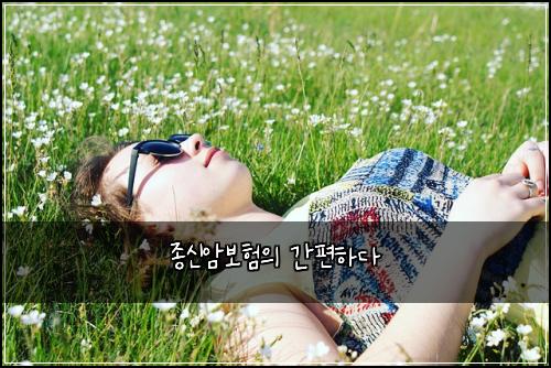 종신암보험의 간편하다