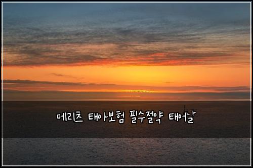 메리츠 태아보험 필수절약  태어날