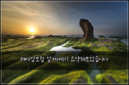 태아암보험 알짜베기  요약해보았습니다