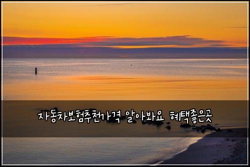 ์๋์ฐจ๋ณดํ์ถ์ฒ๊ฐ๊ฒฉ ์์๋ด์ ํํ์ข์๊ณณ