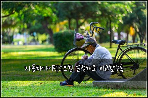 자동차다이렉스보험 설정해요  비교할수록