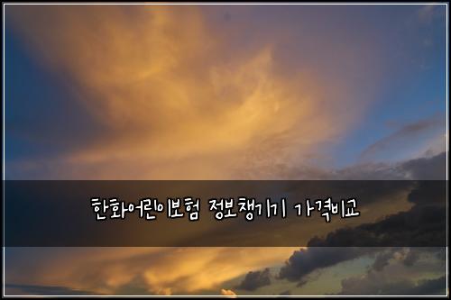 한화어린이보험 정보챙기기  가격비교