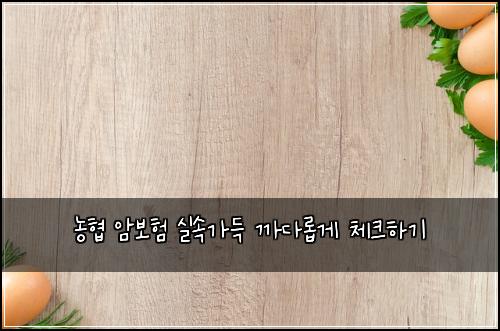 농협 암보험 실속가득  까다롭게 체크하기