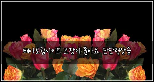 태아보험사이트 보장이 좋아요 판단력상승