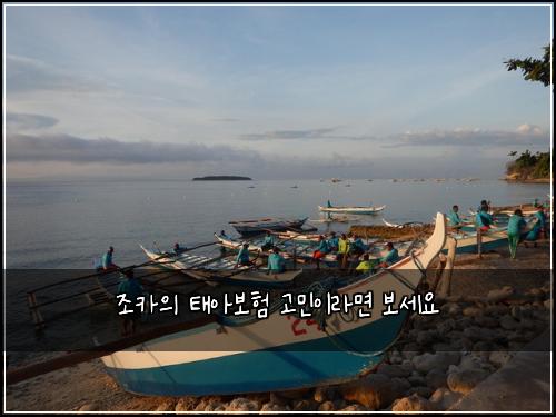 조카의 태아보험 고민이라면 보세요