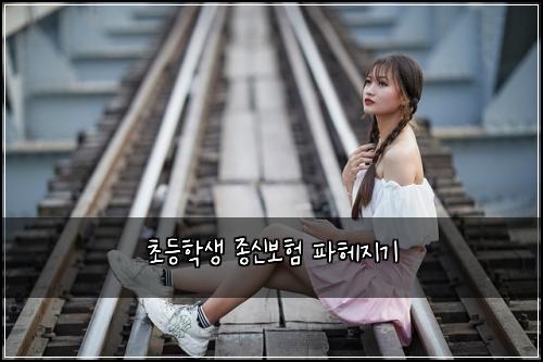 초등학생 종신보험 파헤지기 
