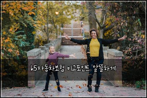 k5자동차보험 비교포인트  알뜰하게