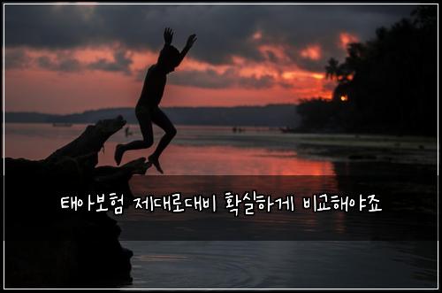 태아보험 제대로대비  확실하게 비교해야죠