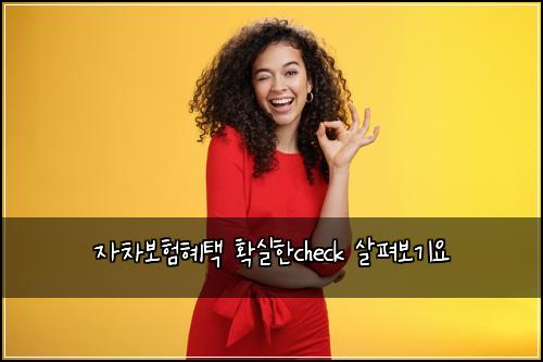 자차보험혜택 확실한check 살펴보기요
