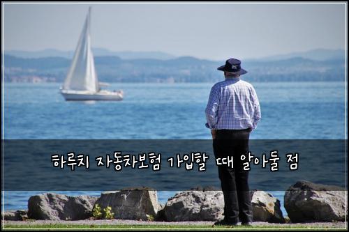 하루치 자동차보험 가입할 때 알아둘 점