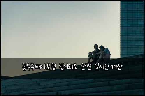 동부주태아보험 힘이되요  관련 실시간계산