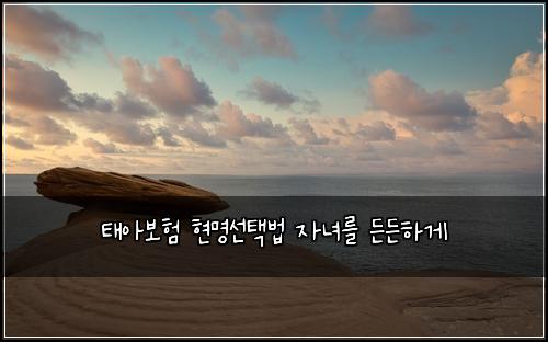 태아보험 현명선택법  자녀를 든든하게