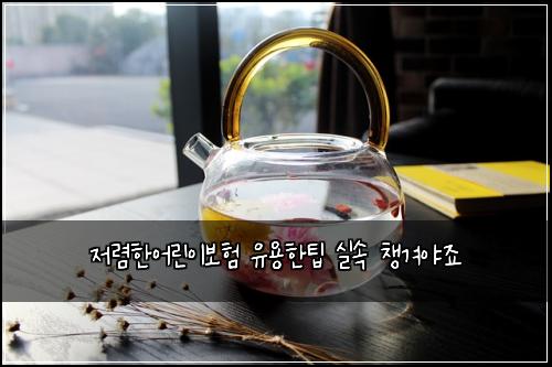 저렴한어린이보험 유용한팁  실속 챙겨야죠