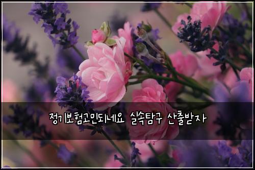 정기보험고민되네요 실속탐구 산출받자