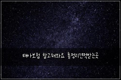 태아보험 참고해봐요  총정리견적받는곳