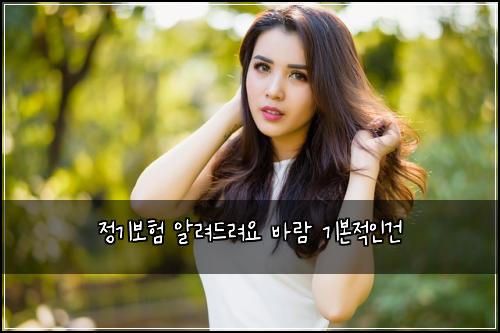 정기보험 알려드려요  바람 기본적인건