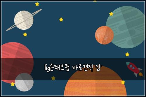 lig손해보험 바로견적  암